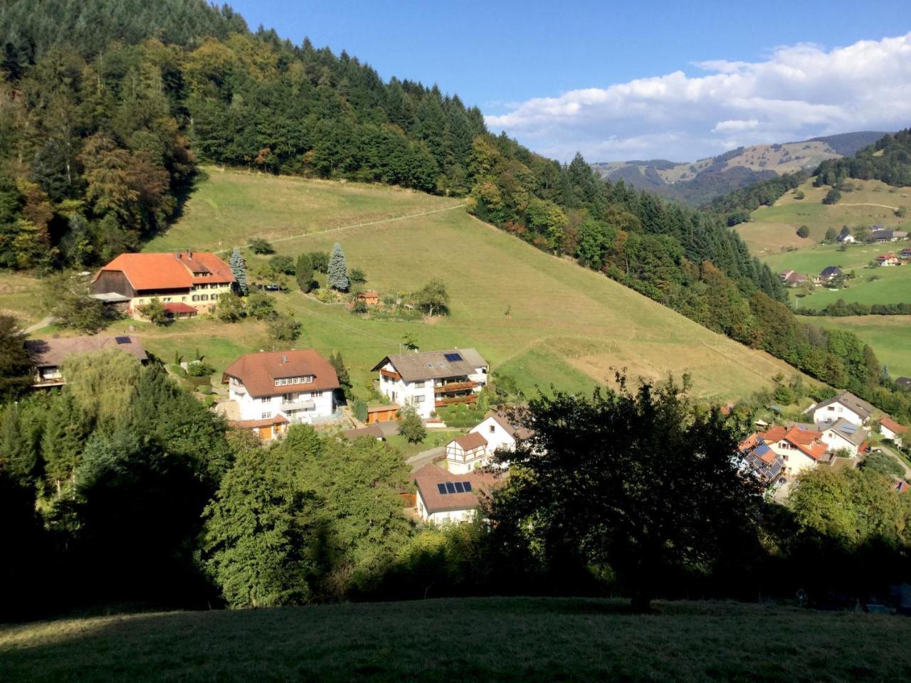 Erikas Haus Leilighet Münstertal Eksteriør bilde