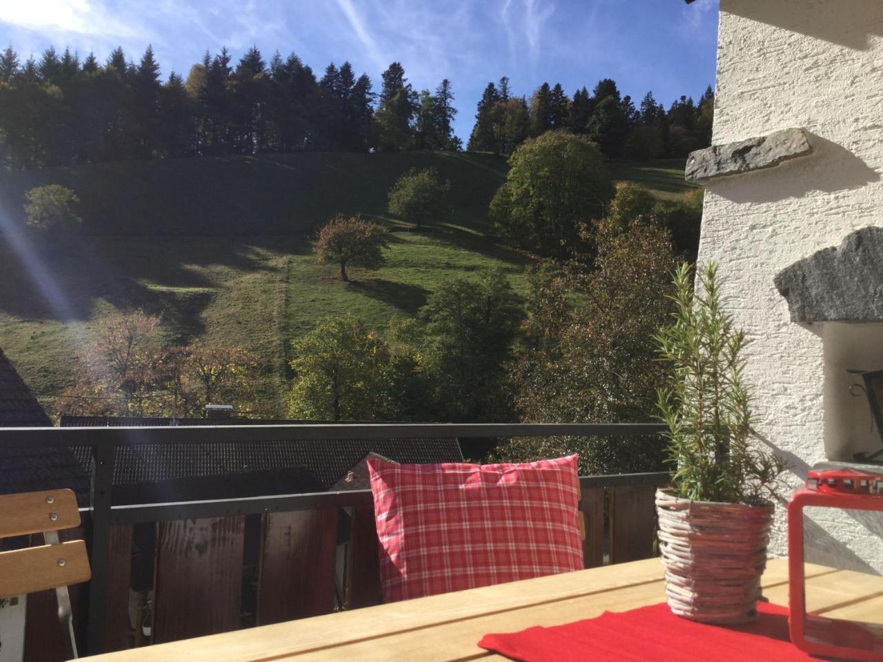 Erikas Haus Leilighet Münstertal Eksteriør bilde
