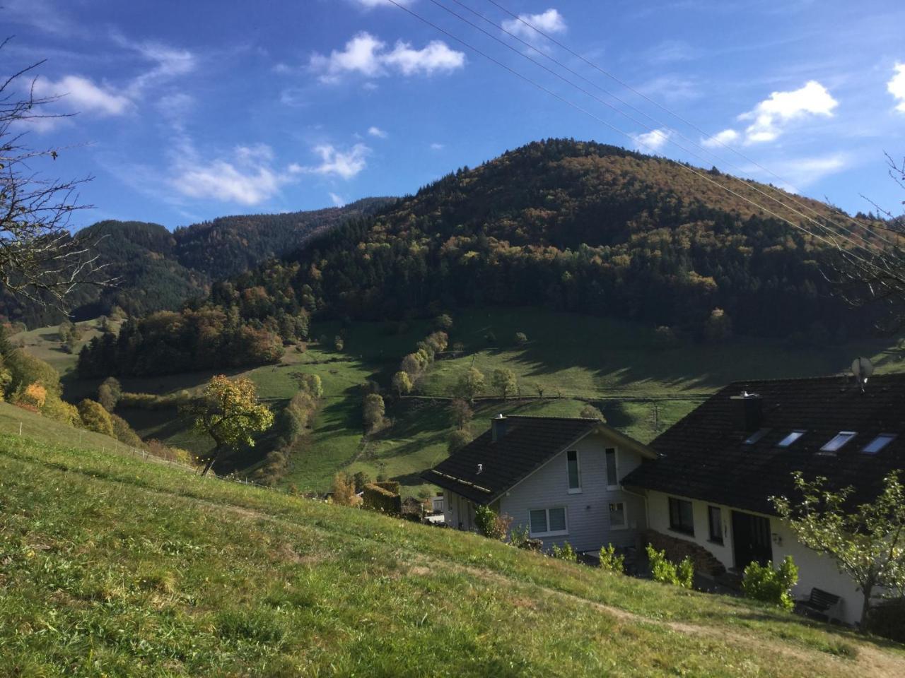 Erikas Haus Leilighet Münstertal Eksteriør bilde