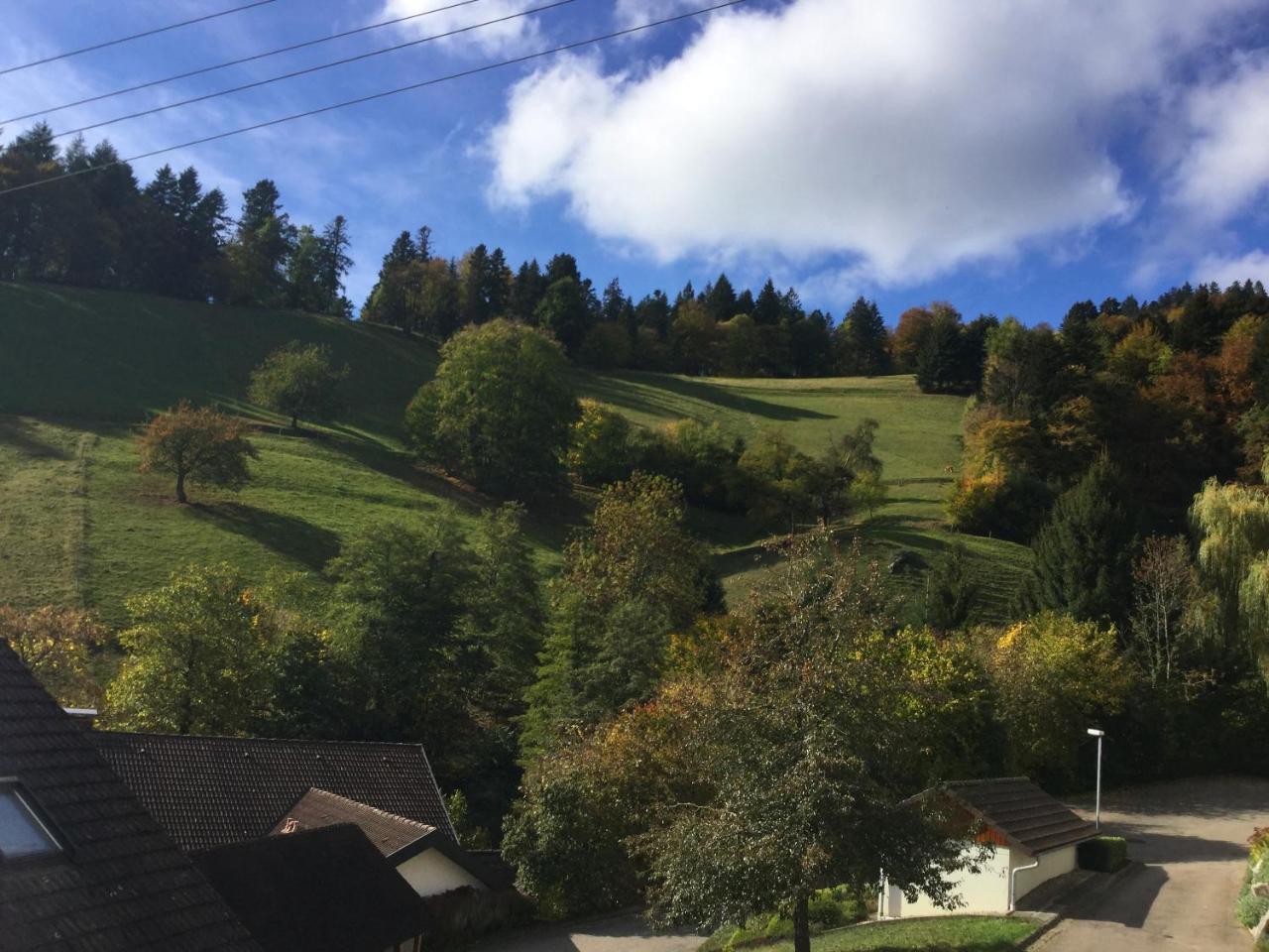 Erikas Haus Leilighet Münstertal Eksteriør bilde