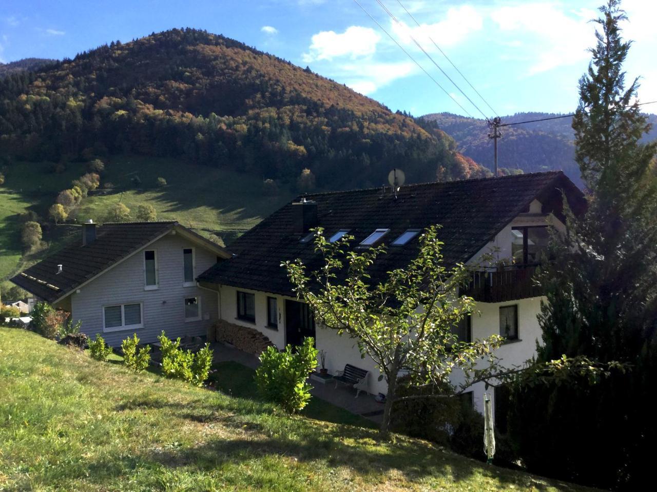 Erikas Haus Leilighet Münstertal Eksteriør bilde
