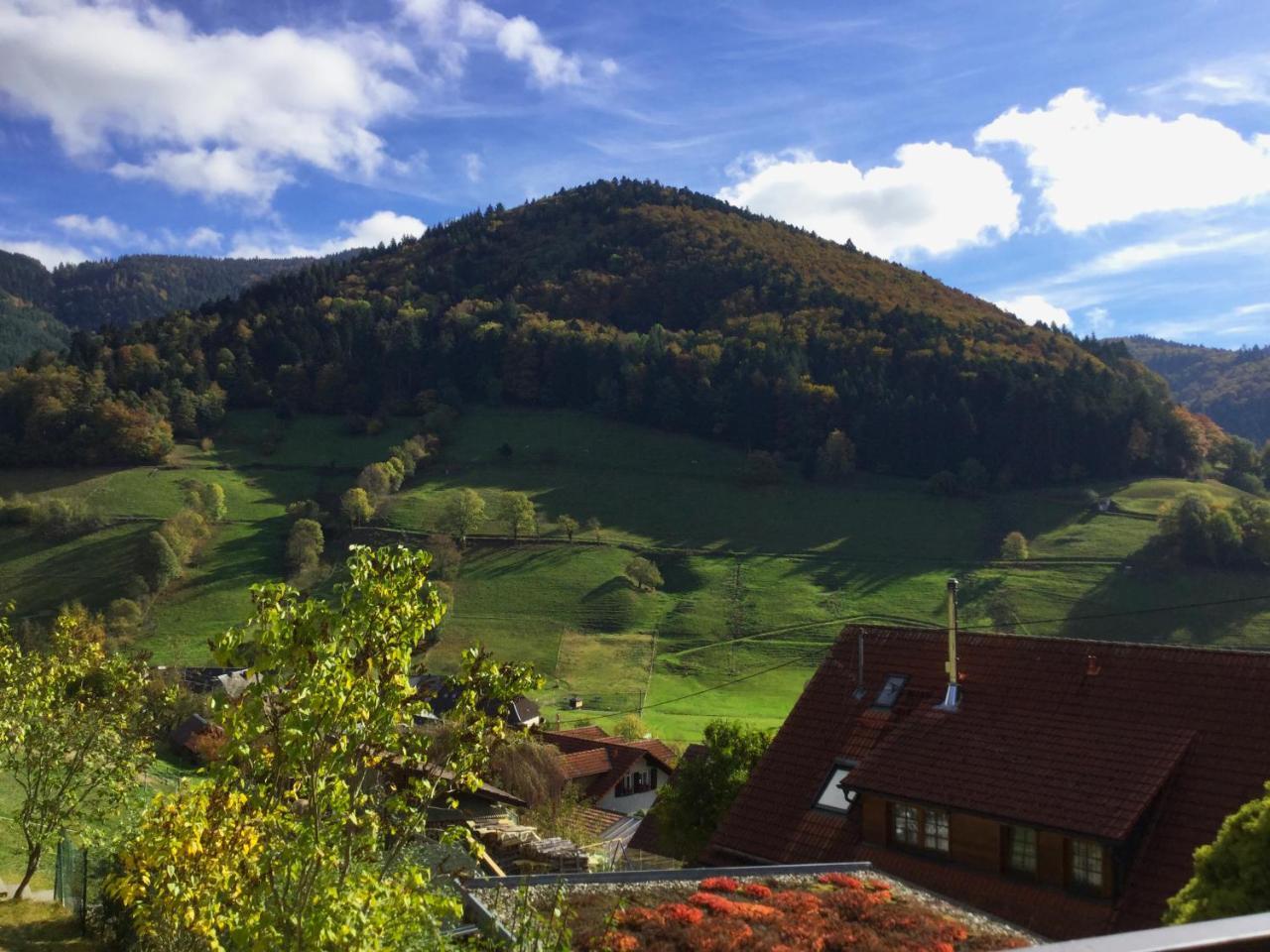 Erikas Haus Leilighet Münstertal Eksteriør bilde